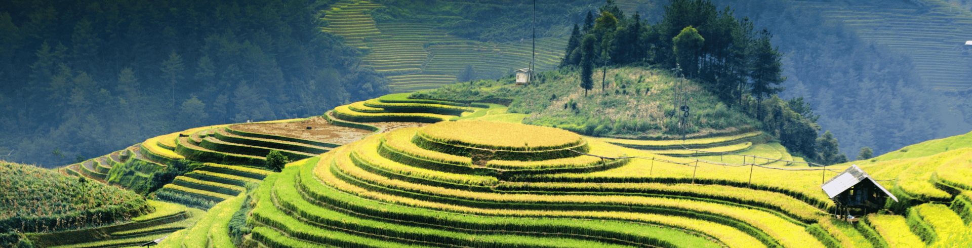 Norte do Vietn com Hoa Lu & Tam Coc